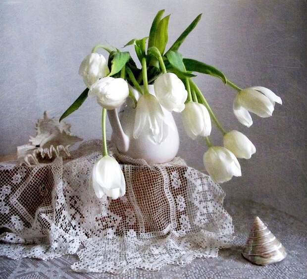 margarita-epishina Белые тюльпаны Весенние натюрморты (700x636, 230Kb)
