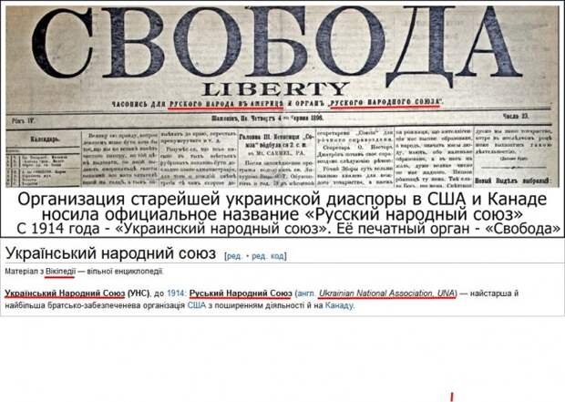 До Революции украинцами называли себя только те, кто отрёкся от православной веры До Революции украинцами называли себя только те, кто отрёкся от православной веры