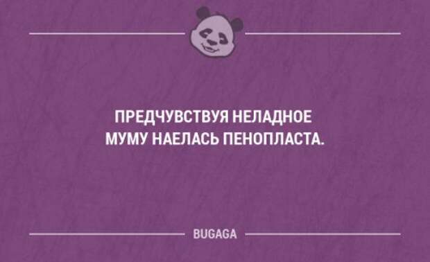 Прикольные фразы в картинках с надписями. Часть 78 (17 шт)
