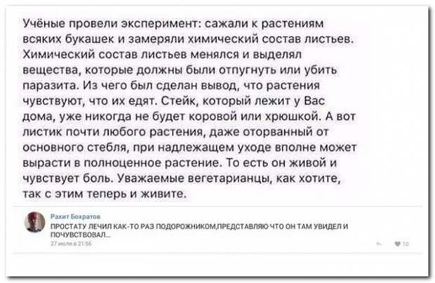 Прикольные комментарии из социальных сетей