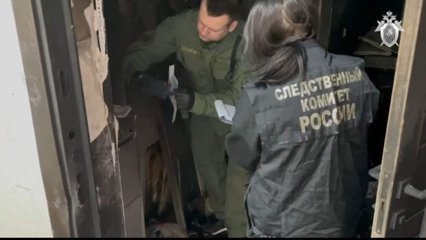 Кровавое и неимоверное убийство на Заполярной: домашний арест после жестокой расправы?