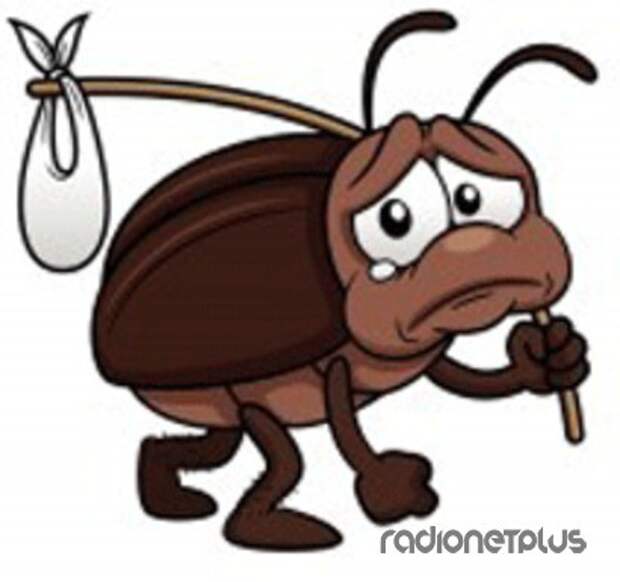 НАШАТЫРНЫЙ СПИРТ ДОМА И НА ДАЧЕ