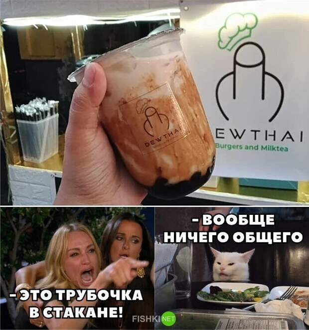 Кот, который всегда говорит правду