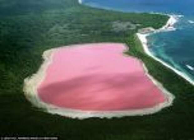 Озеро Хиллер:жизнь в розовом свете