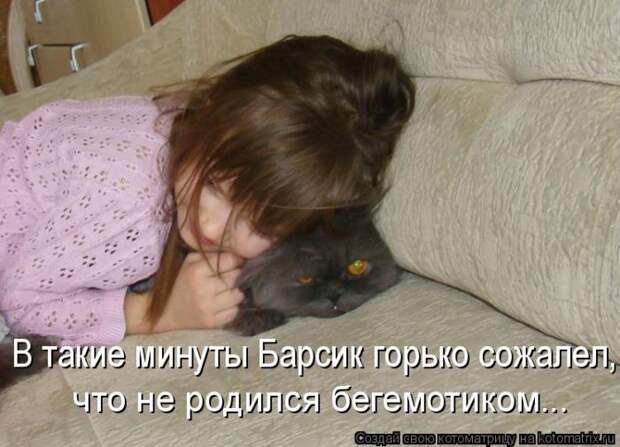 Лучшие котоматрицы недели (50 фото)