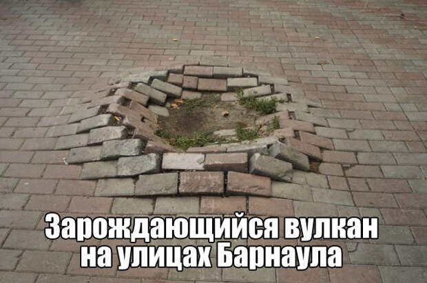 Смешные картинки и фотографии с надписями со смыслом (11 фото)