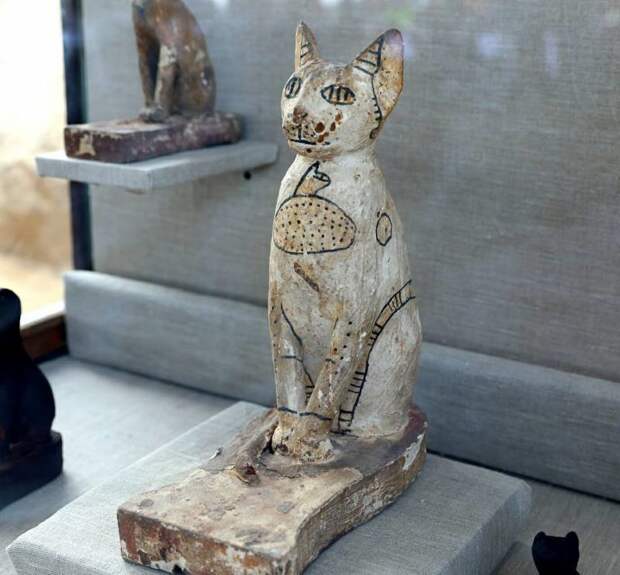 В Египте нашли редкие мумии кошек и скарабеев в 7 гробницах возле пирамид Египт, в мире, гробницы, кошки, мумия, находка, пирамиды