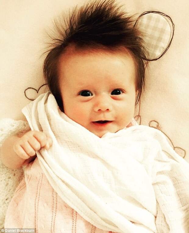 В Британии - мода на волосатых младенцев! младенцы, прически, фото