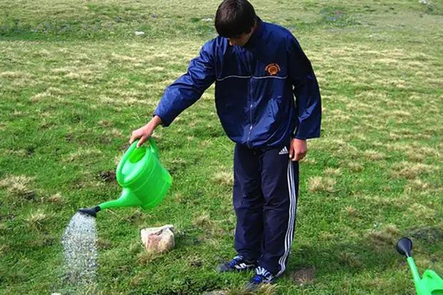 Изменение экосистемы: как человечество влияет на растительный мир планеты