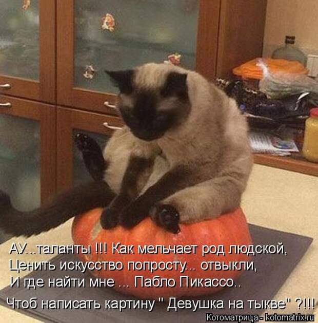 Лучшие котоматрицы недели Лучшие котоматрицы недели