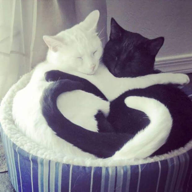 True Love