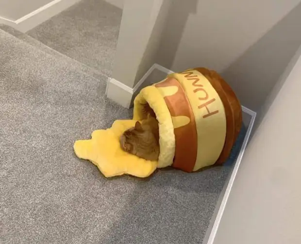 Подборка удивительных вещей, создатели которых заслуживают аплодисментов