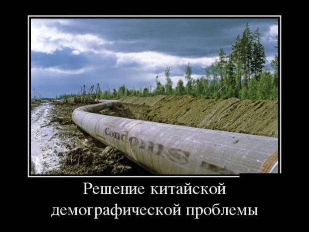 Демотиваторы (30 фото)