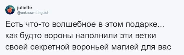 Мужчина четыре года кормил воронью семью, и те принесли ему таинственный дар. Теперь он их… идол?