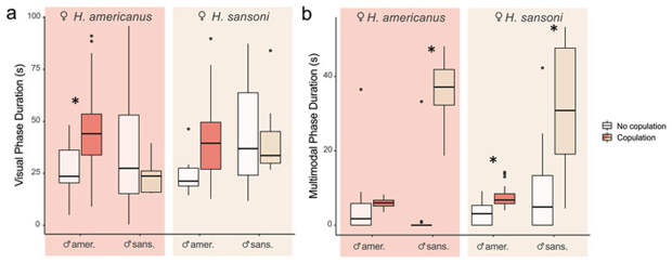 Рис. 4. Средняя продолжительность визуальной и мультимодальной фаз