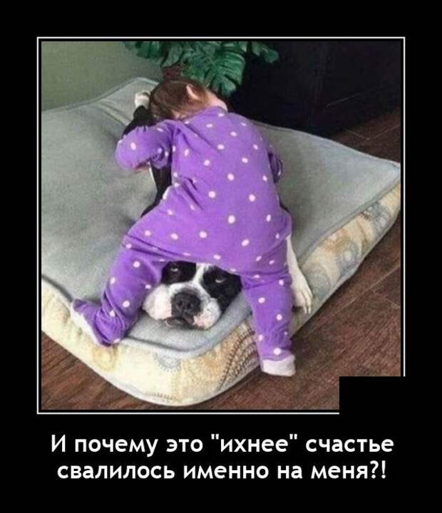 Демотиваторы 27 апреля 2021