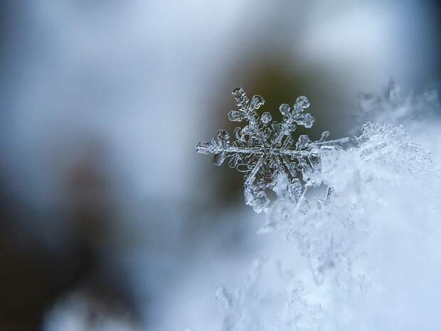 Снежинка. Фото: pixabay.com