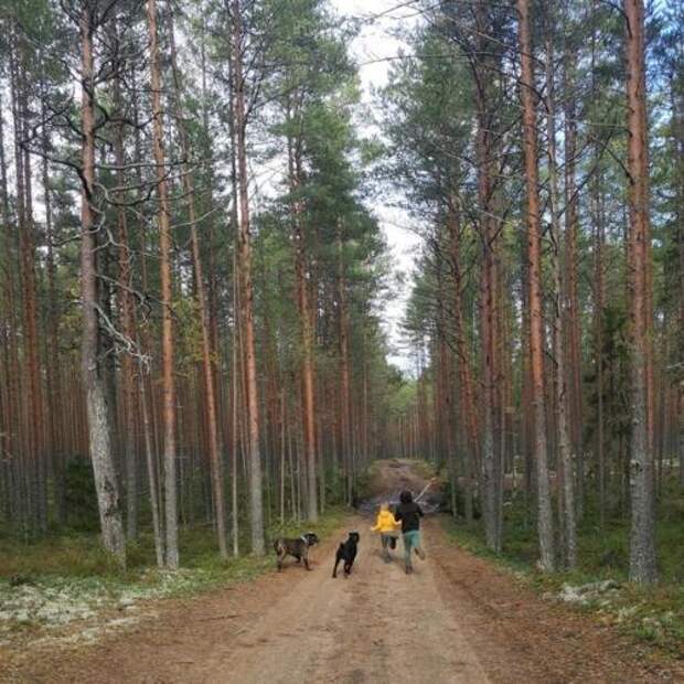 Сейчас особенно остро чувствую, что я не хочу готовить детей к худшему.
