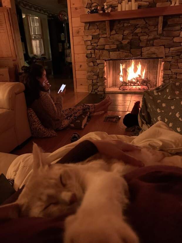 Cozy-cat-and-warm-toes-at-our-new-home-in-the-mountains_-scaled