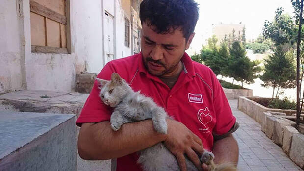 cat-man-aleppo-syria-2