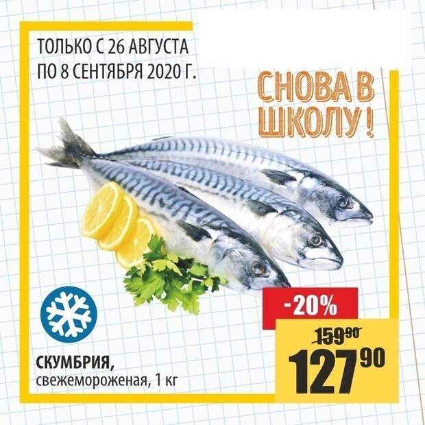 Учебный год-2020: как всё началось Учебный год-2020: как всё началось