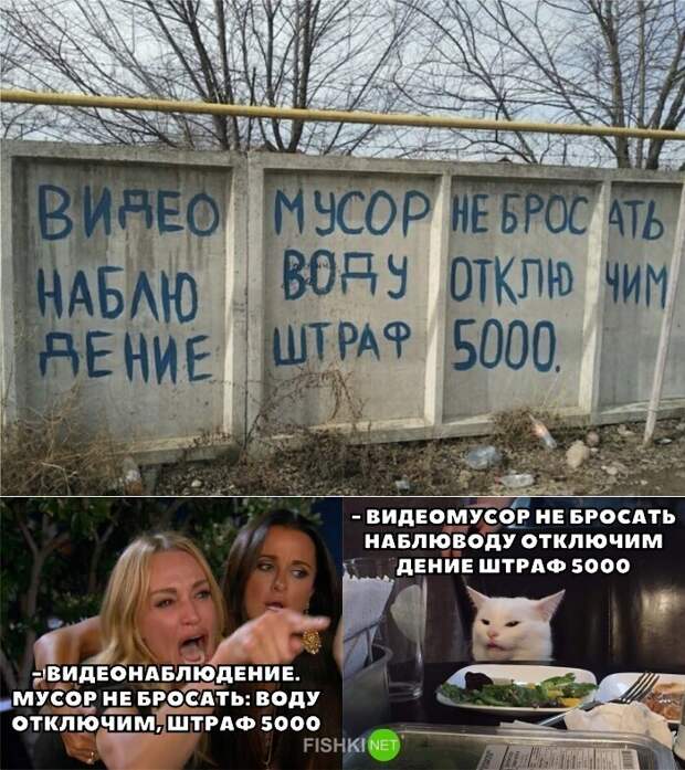 Такого котика мы и ждали