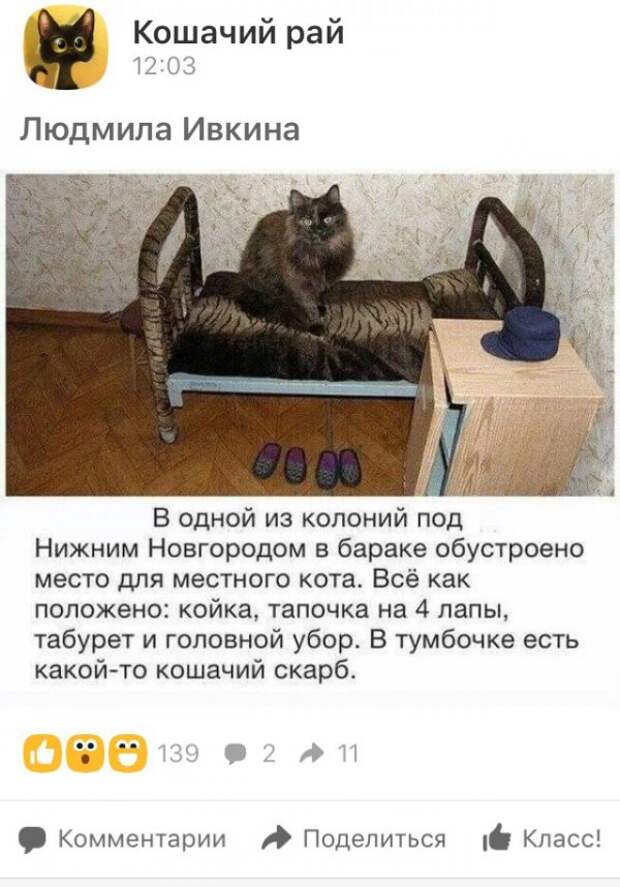 NEW - Деграклассники - 27