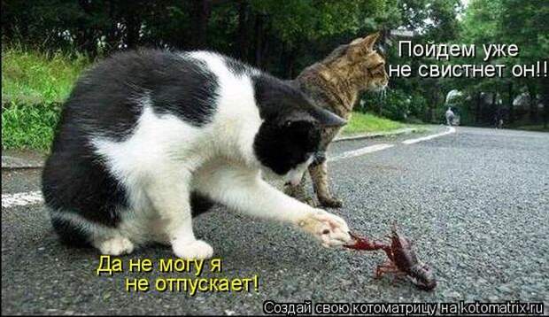 Мысли вслух :)