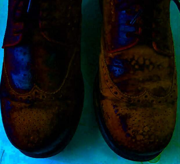 Картинки по запросу Чистая и восстановленная кожаная обувь
