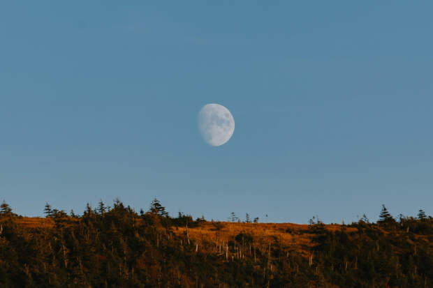 Лунный календарь на ноябрь 2026 года: фазы Луны, благоприятные и неблагоприятные дни