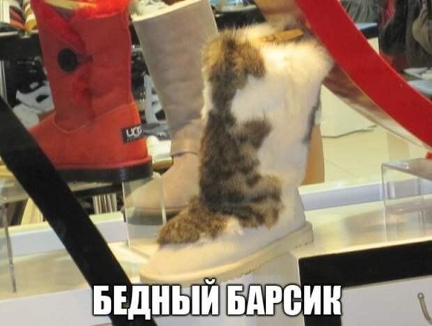 Смешная галерея фотоприколов # 132