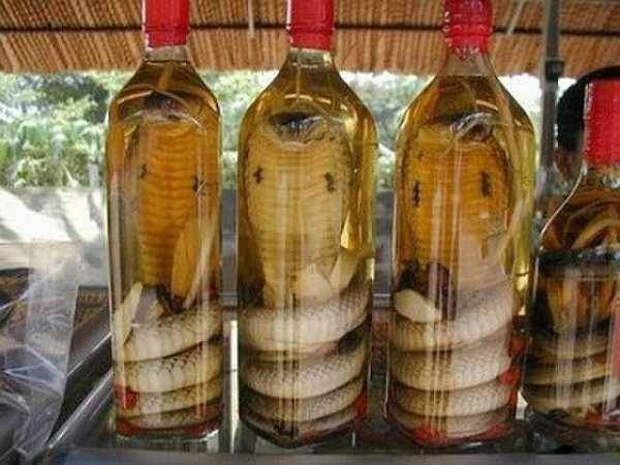 Китайское змеиное вино