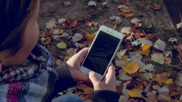 В Госдуме рассказали о законопроекте о защите от преследования в соцсетях