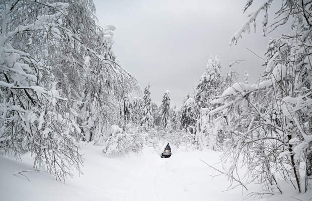 Стало известно о погоде в регионе с пропавшими туристами