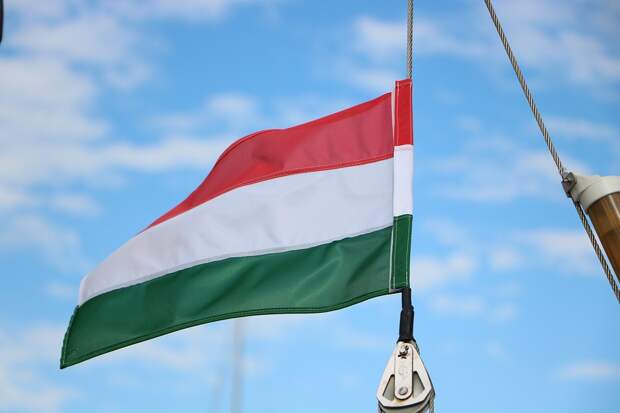 Ландсбергис: Венгрия может повлиять на РФ для разрешения конфликта на Украине