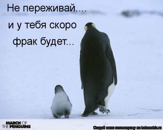 Мысли вслух :)