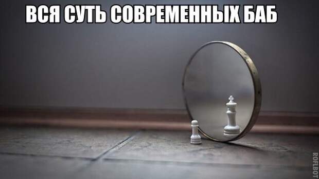 Смешные картинки с надписями прикол, юмор