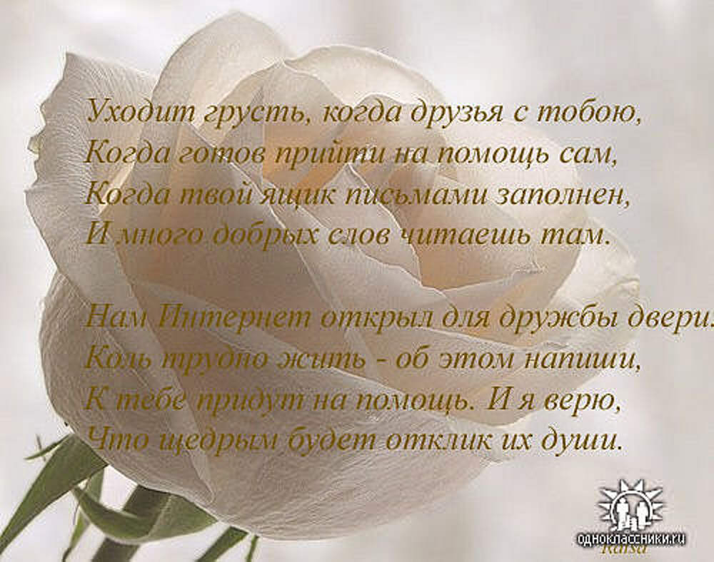 Сайт stihi. Стихи. Красивые стихи о любви и дружбе. Красивые стихи друзьям. Стихотворение про белые розы.