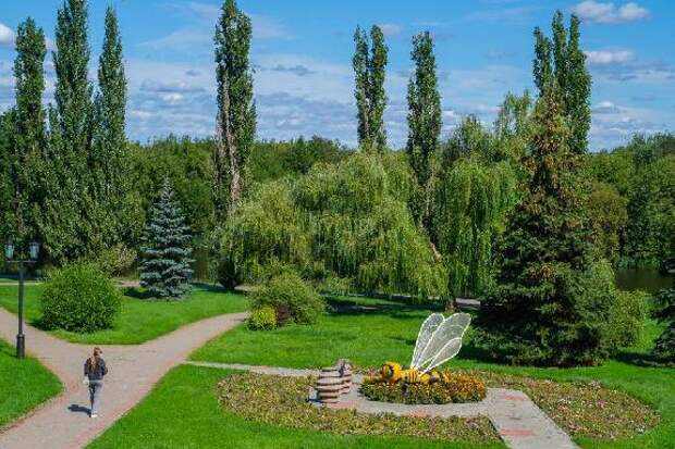 Самая высокая инфляция в Черноземье, место в рейтинге медианных зарплат и почему садоводы не страхуют сады: что писали про область федеральные и межрегиональные СМИ