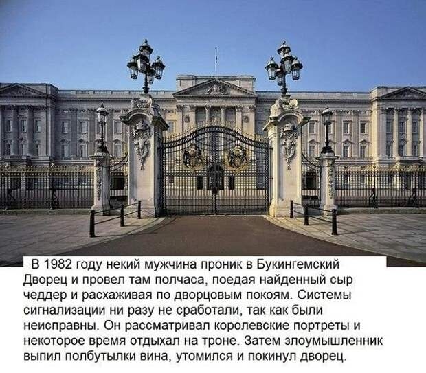 Достоверные факты, в которые трудно поверить.