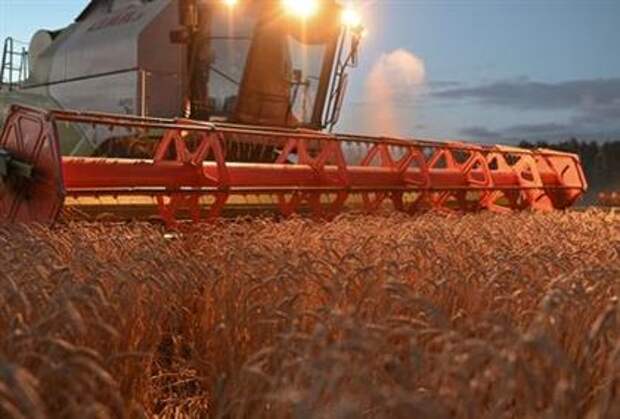 A combine harvests wheat in a field of Triticum farm in Omsk region, Russia September 16, 2020. Picture taken September 16, 2020. REUTERS/Alexey Malgavko 