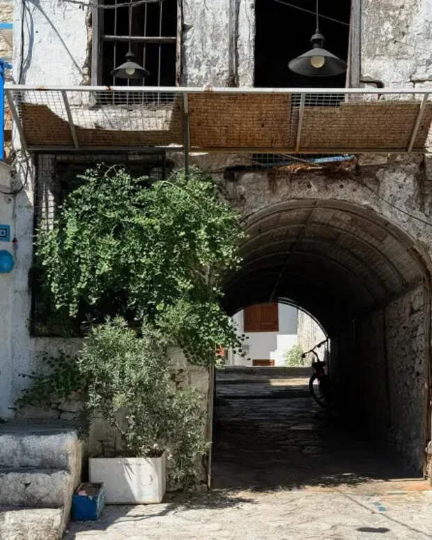 Фото Софьи Эрнст