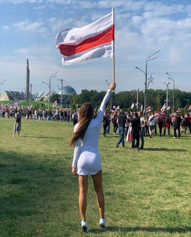Оппозиционеры взяли фашистский флаг спецом. А варианты были