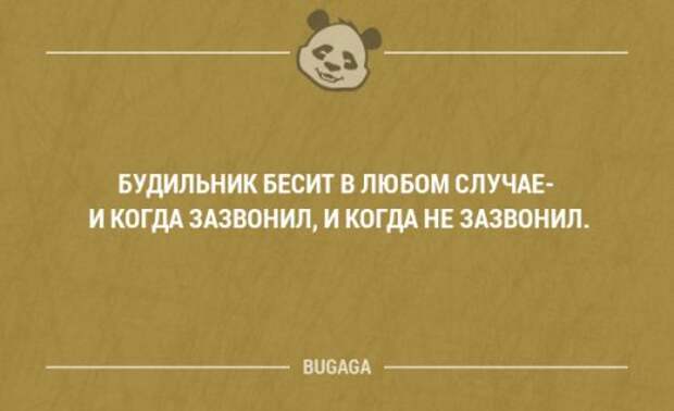 Прикольные фразы и забавные мысли. Часть 100 (20 шт)
