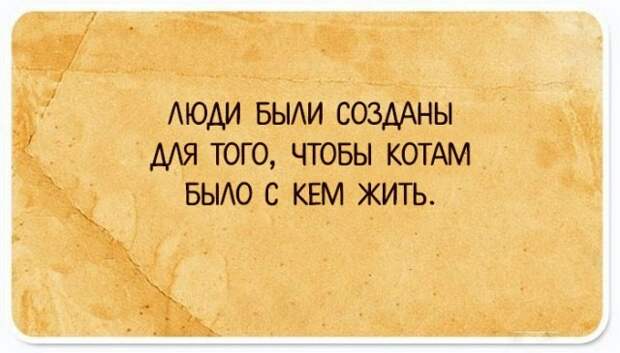 Забавные рассуждения о жизни