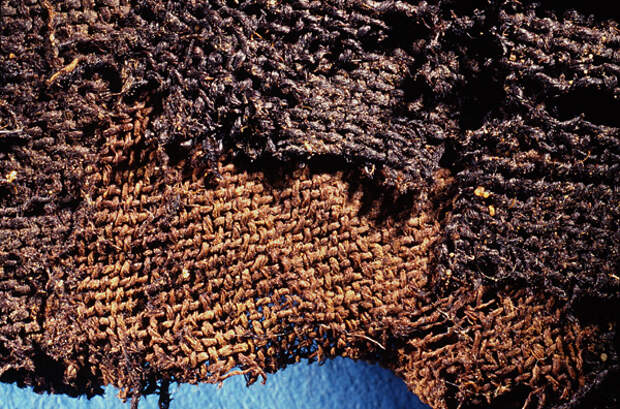 Фрагмент погребального савана, найденного на древнеегипетском кладбище Эль-Бадари. Фото: Ron Oldfield и Jana Jones