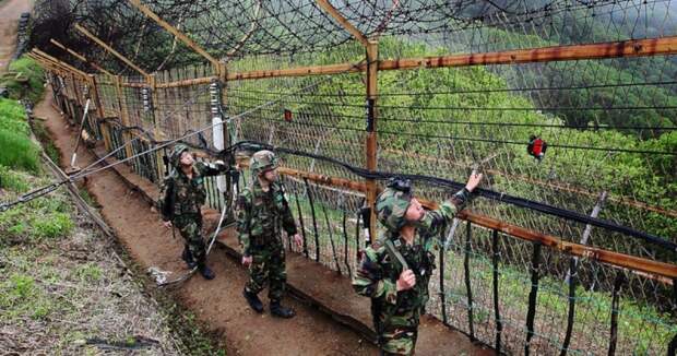 Прыжок к свободе: гимнаст из КНДР перепрыгнул через трехметровый забор в Южную Корею
