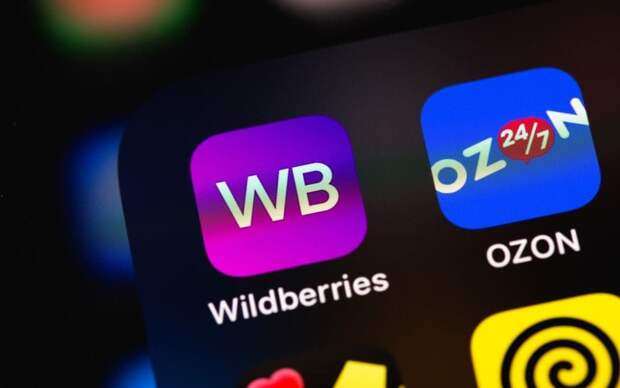 Данные приложения wildberries. Данные приложения wildberries