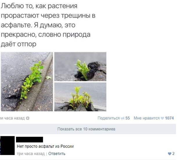 Приколы