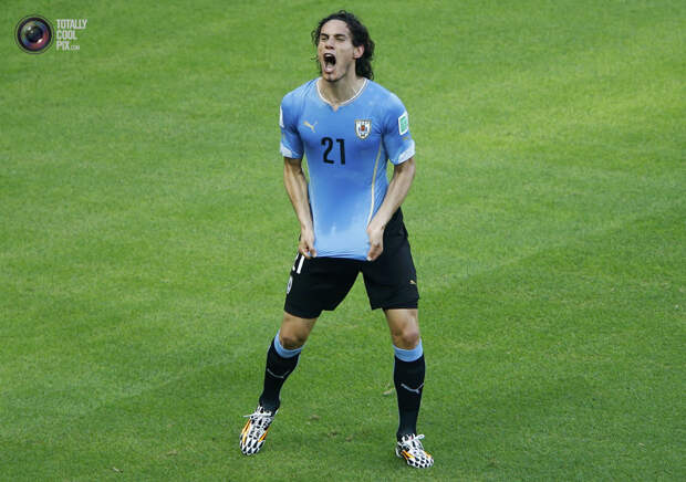 Чемпионат мира по футболу 2014